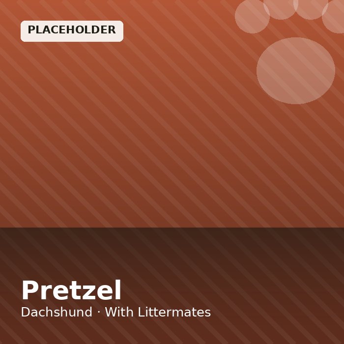 Pretzel photo 4