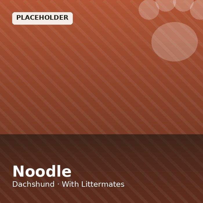 Noodle photo 4