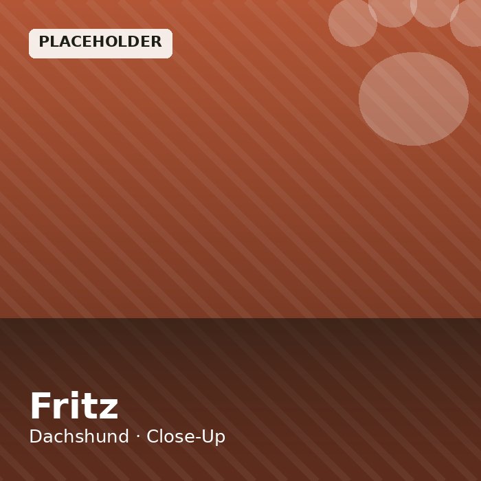 Fritz photo 3