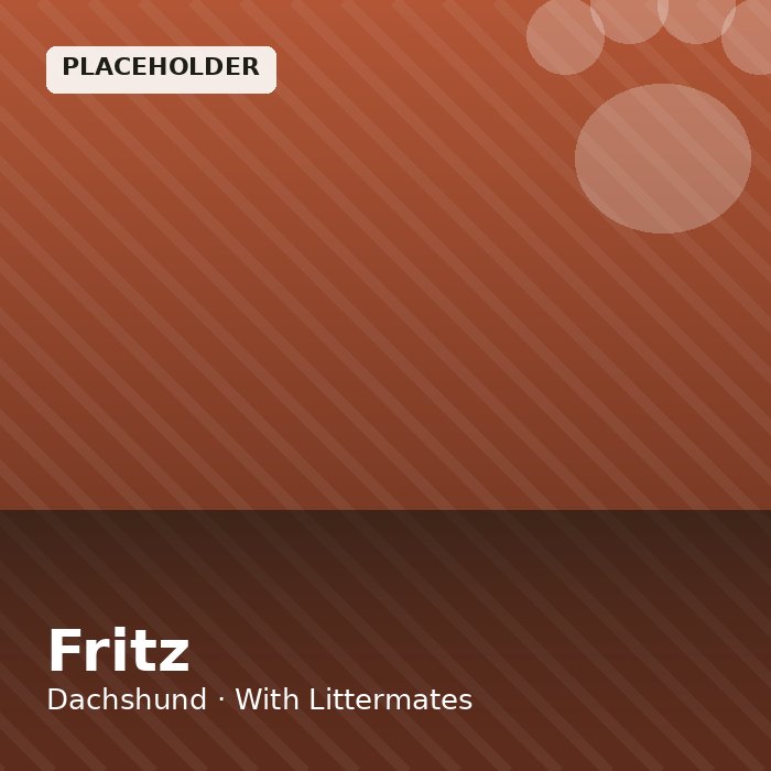 Fritz photo 4