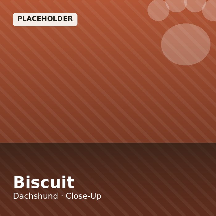 Biscuit photo 3