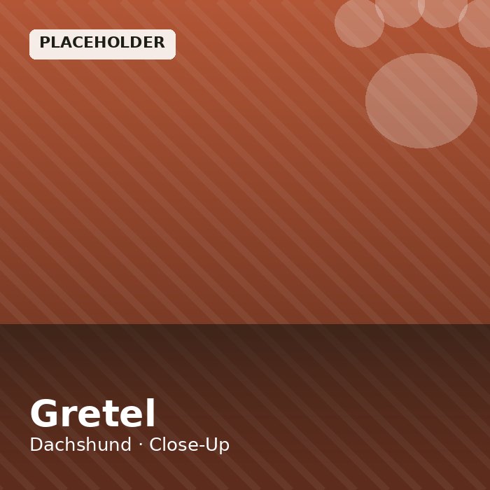 Gretel photo 3