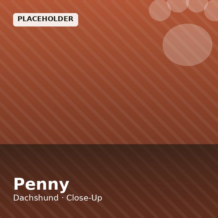 Penny photo 3