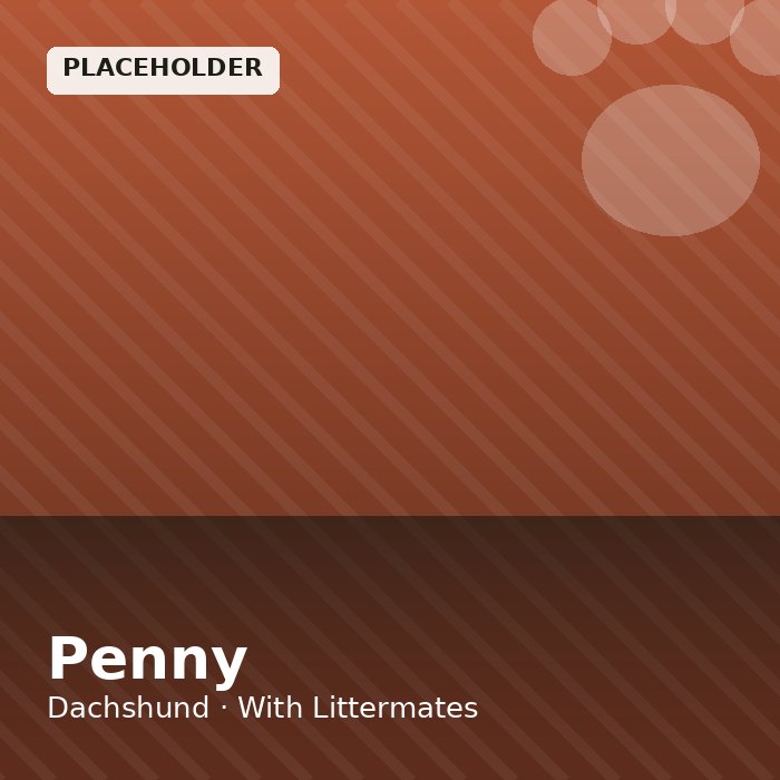 Penny photo 4
