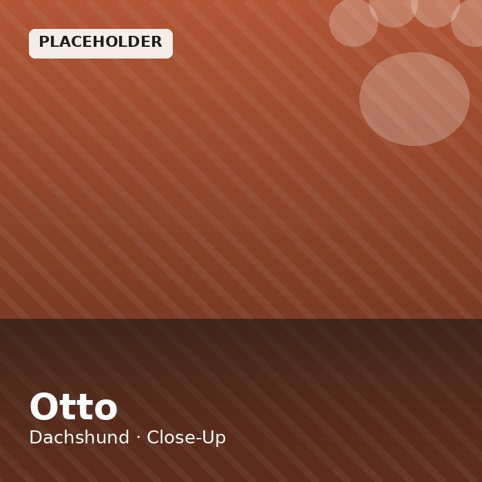 Otto photo 3