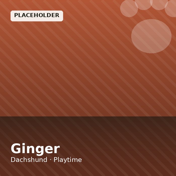 Ginger photo 2
