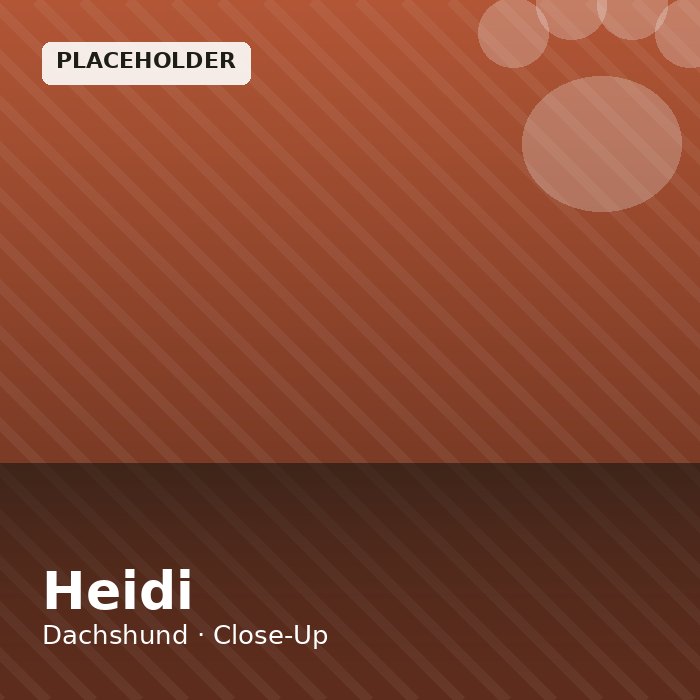 Heidi photo 3