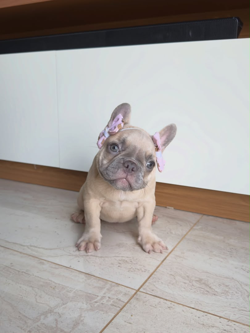Luna photo 3