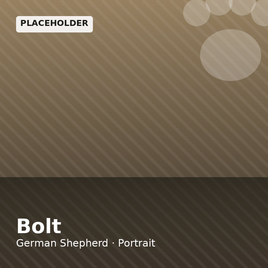 Bolt, German Shepherd puppy