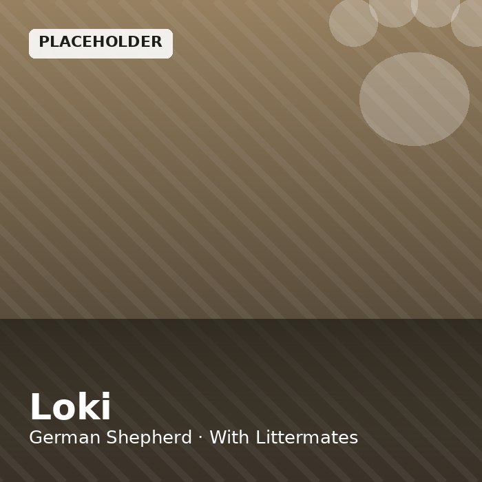 Loki photo 4