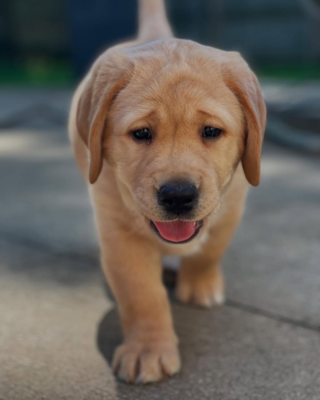 Buddy photo 2
