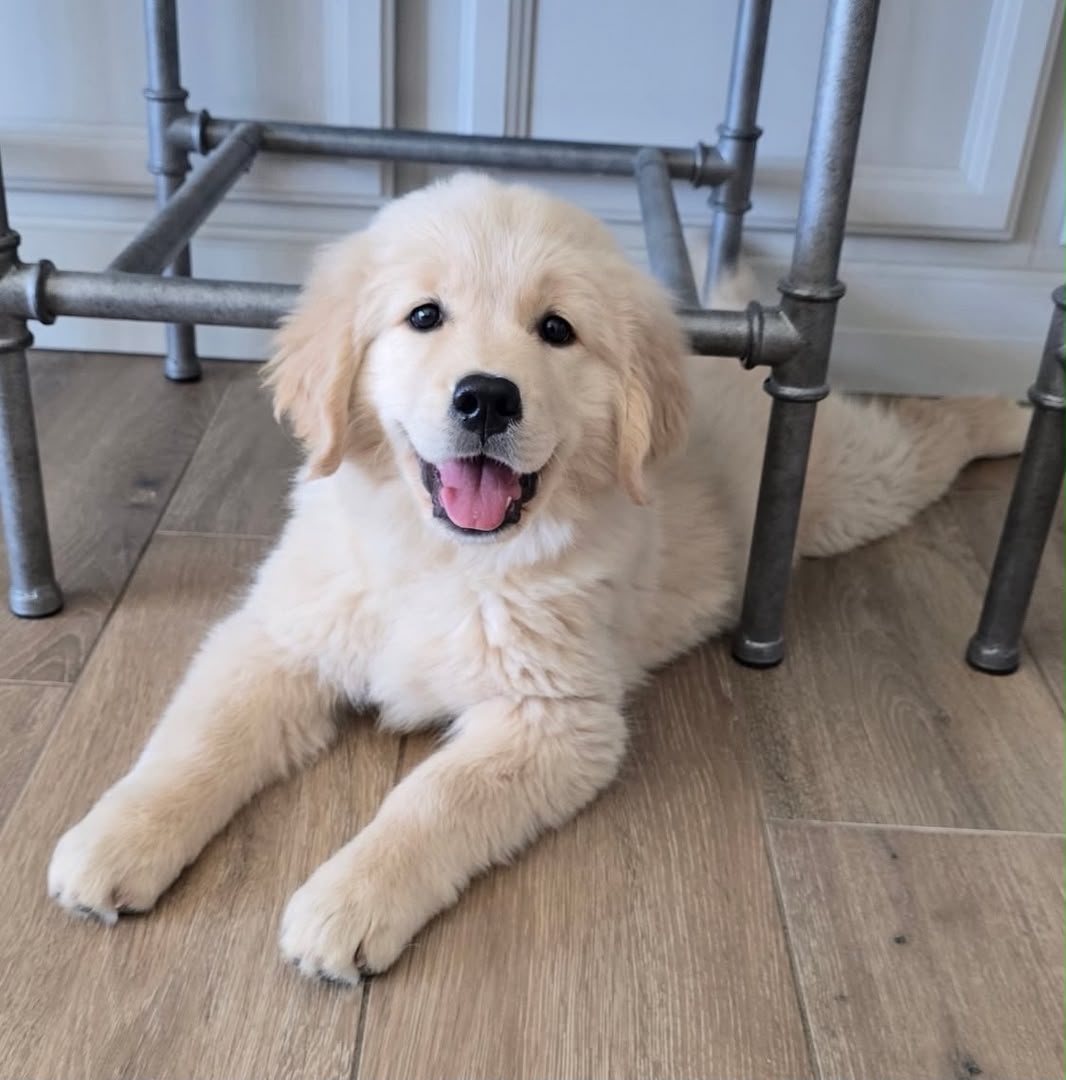 Charlie photo 2