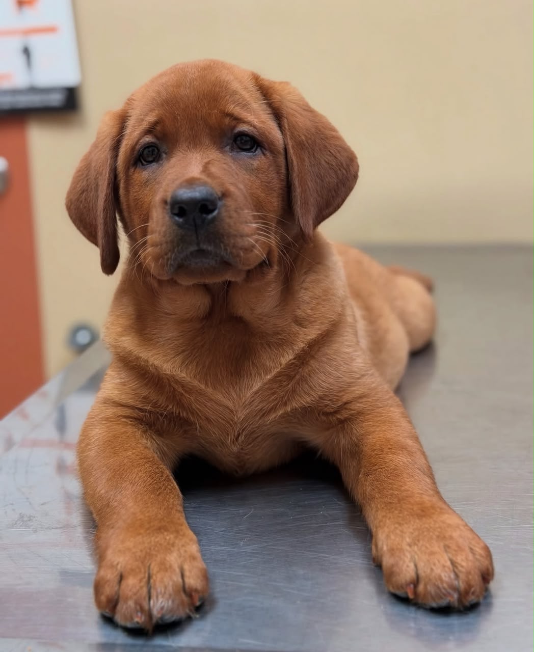 Zeus photo 2